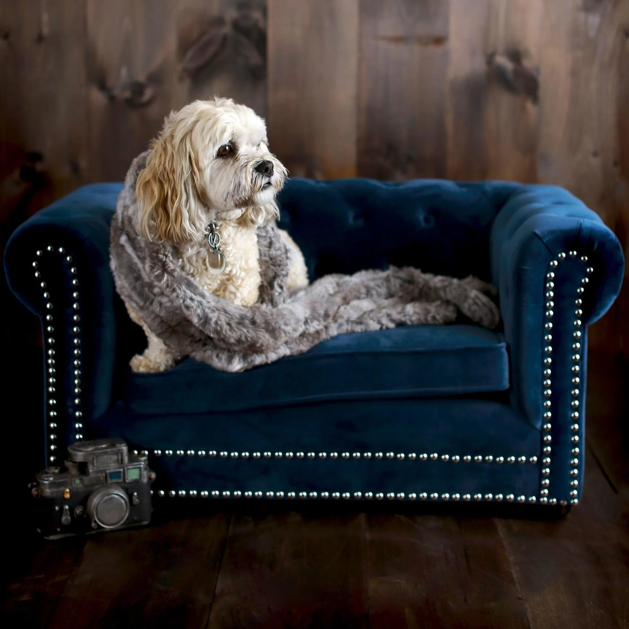 Husky Navy Pet Bed - Image 2