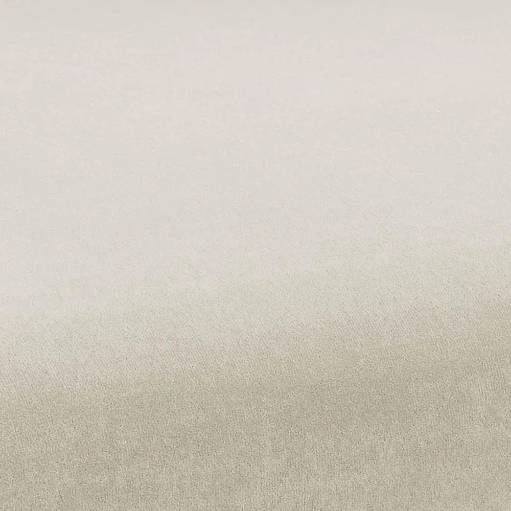 Kim Velvet Chair in Cream - Image 6