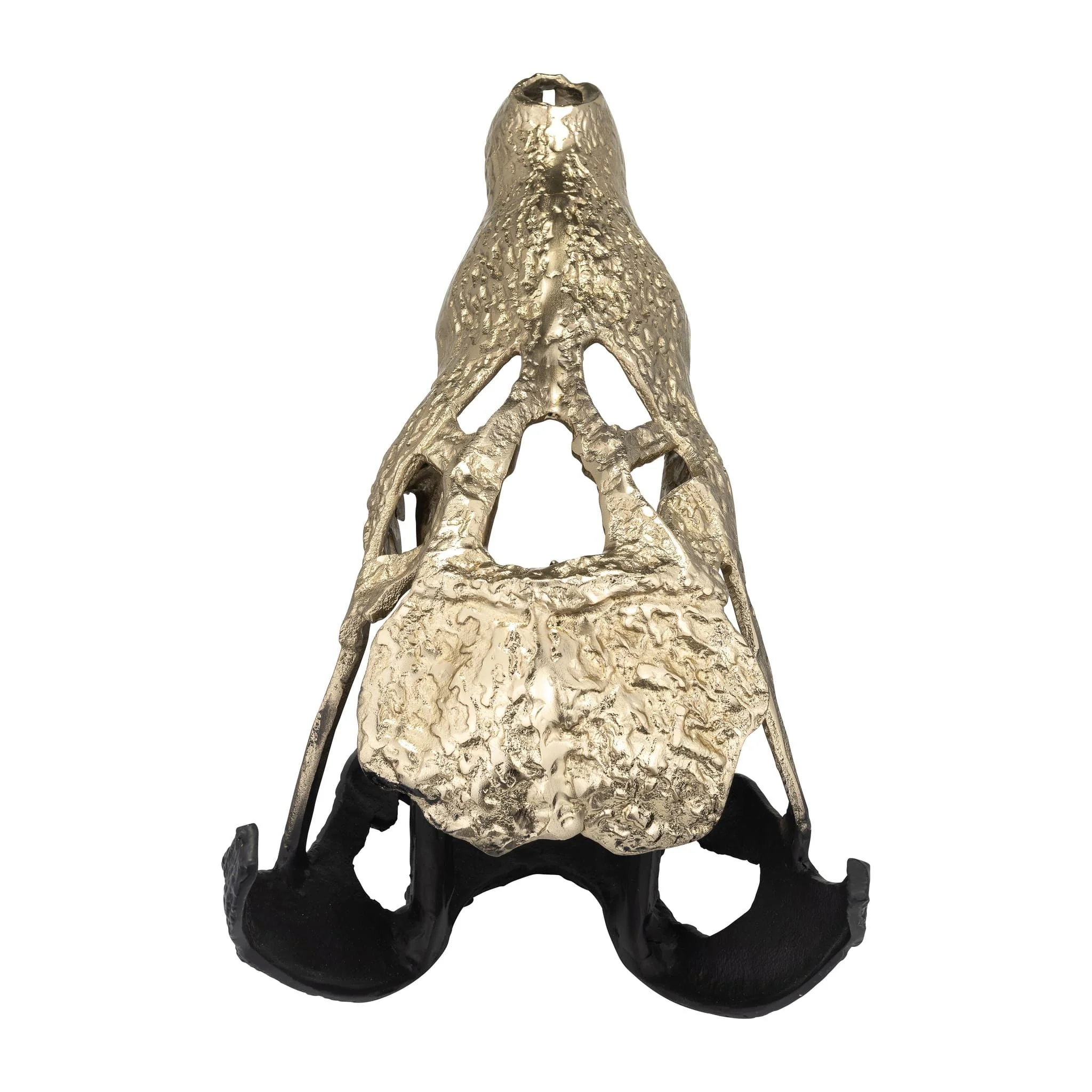 Metal,16",alligator Skull,gold/black - Image 4