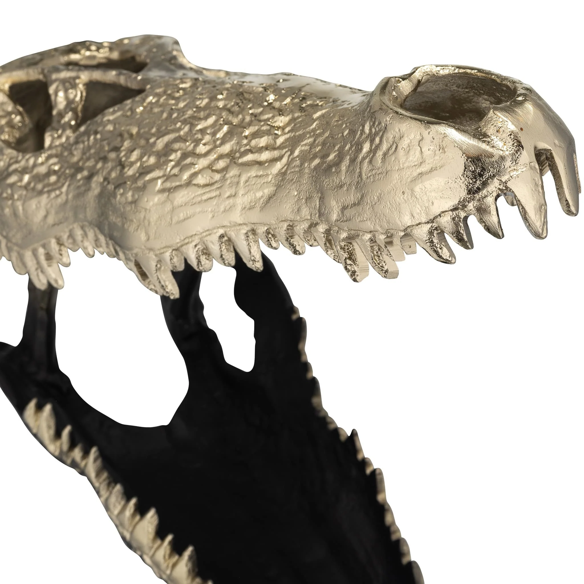 Metal,16",alligator Skull,gold/black - Image 5