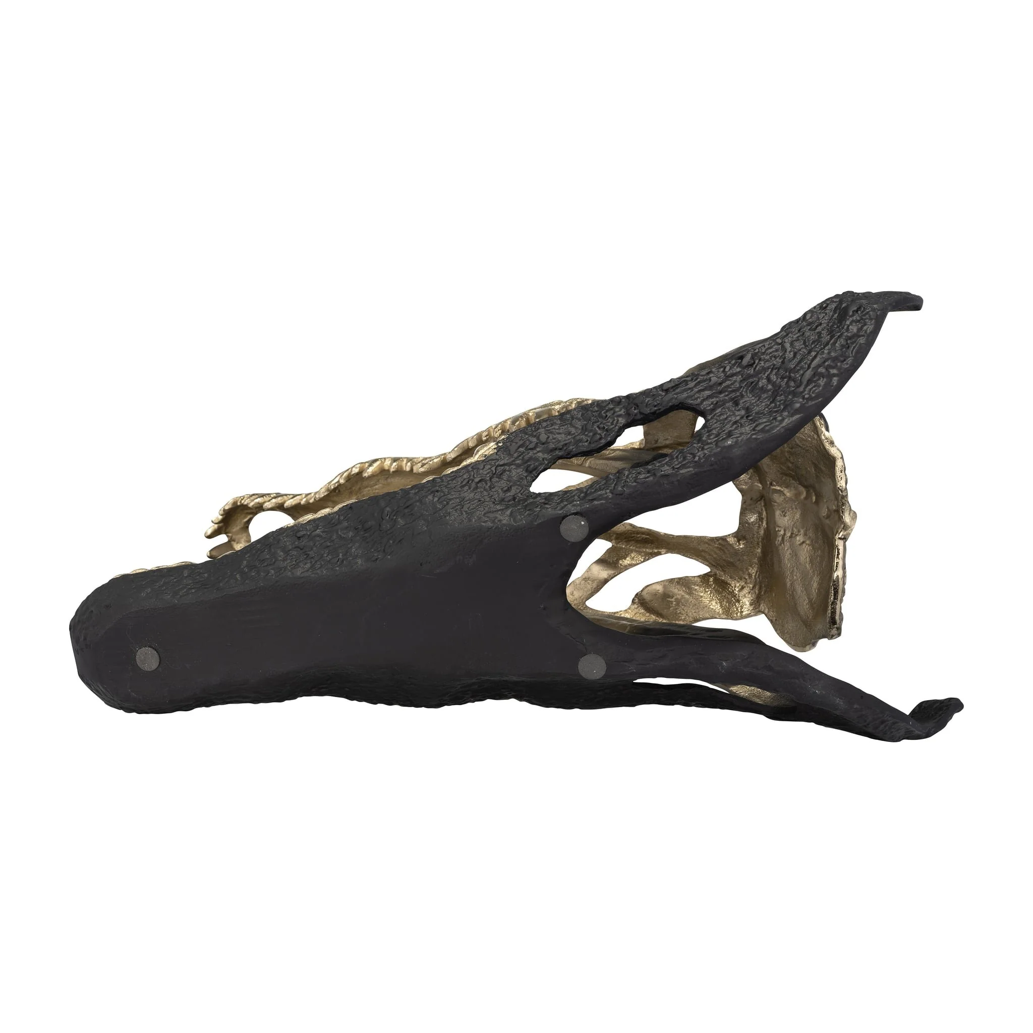 Metal,16",alligator Skull,gold/black - Image 7