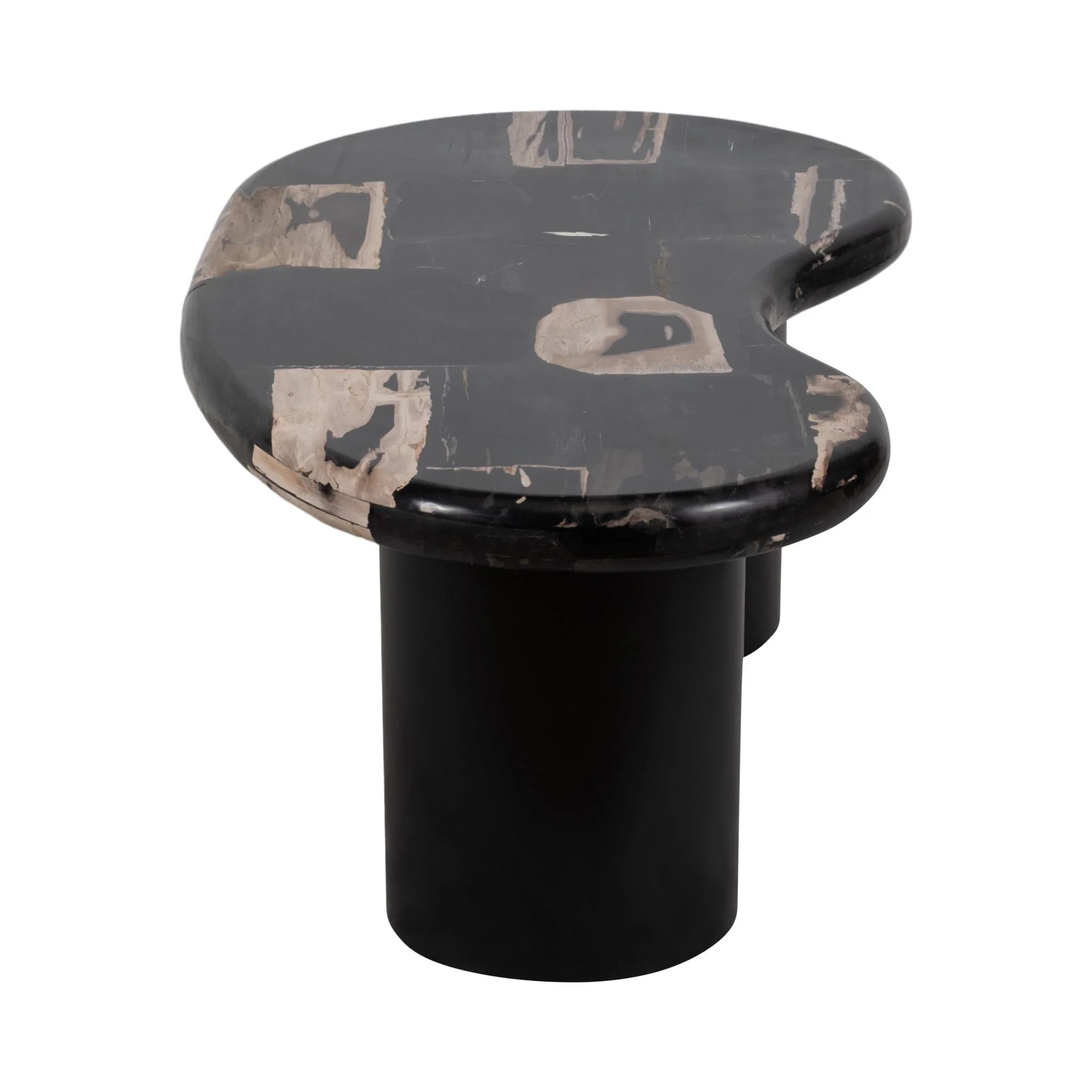 Petrified Wood, 51" Kidney Coffee Table, Black - Image 3