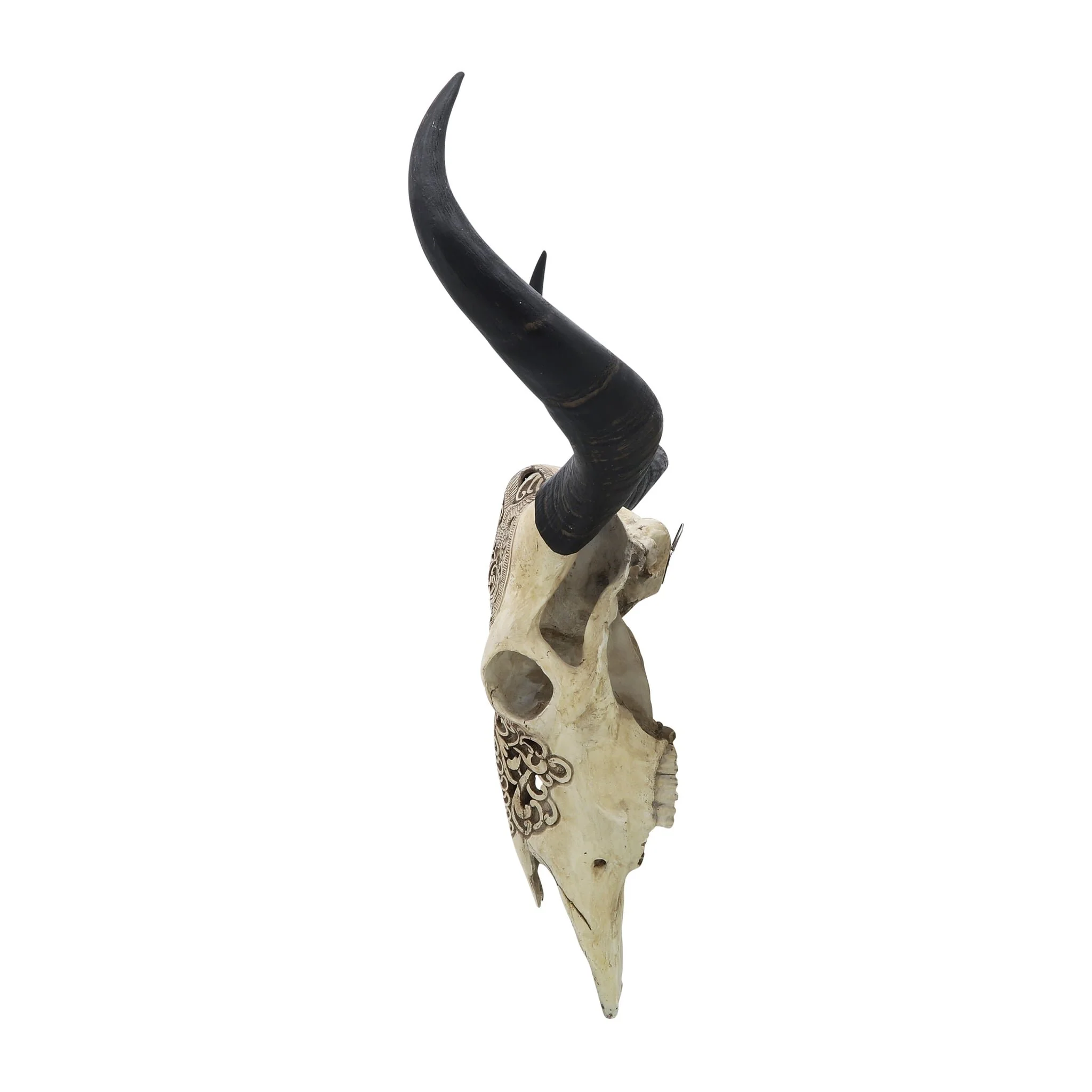 Resin, 28" Bull Skull Wall Accent, Ivory/black Kd - Image 5