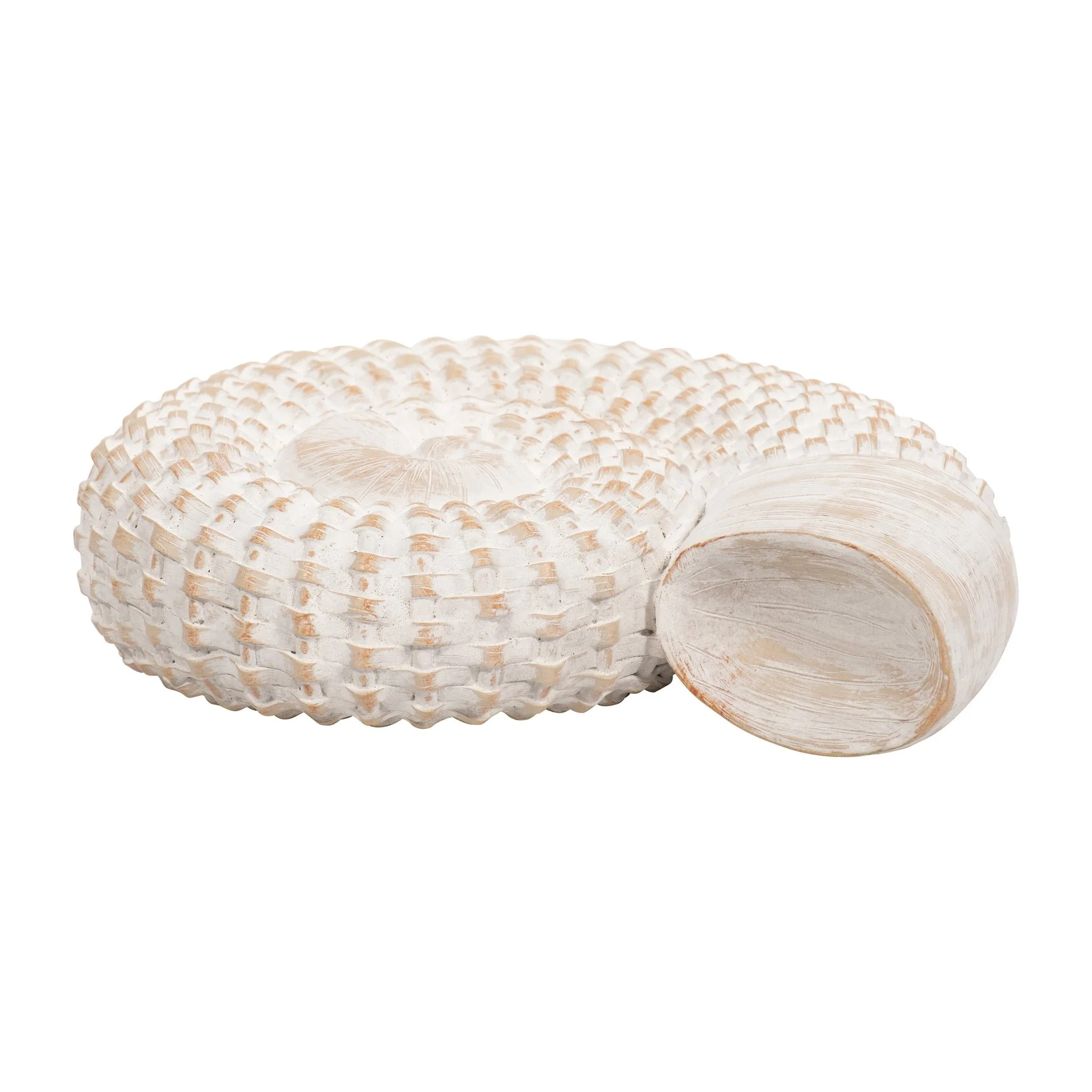 Resin, 7"h Shell Table Accent, White - Image 5