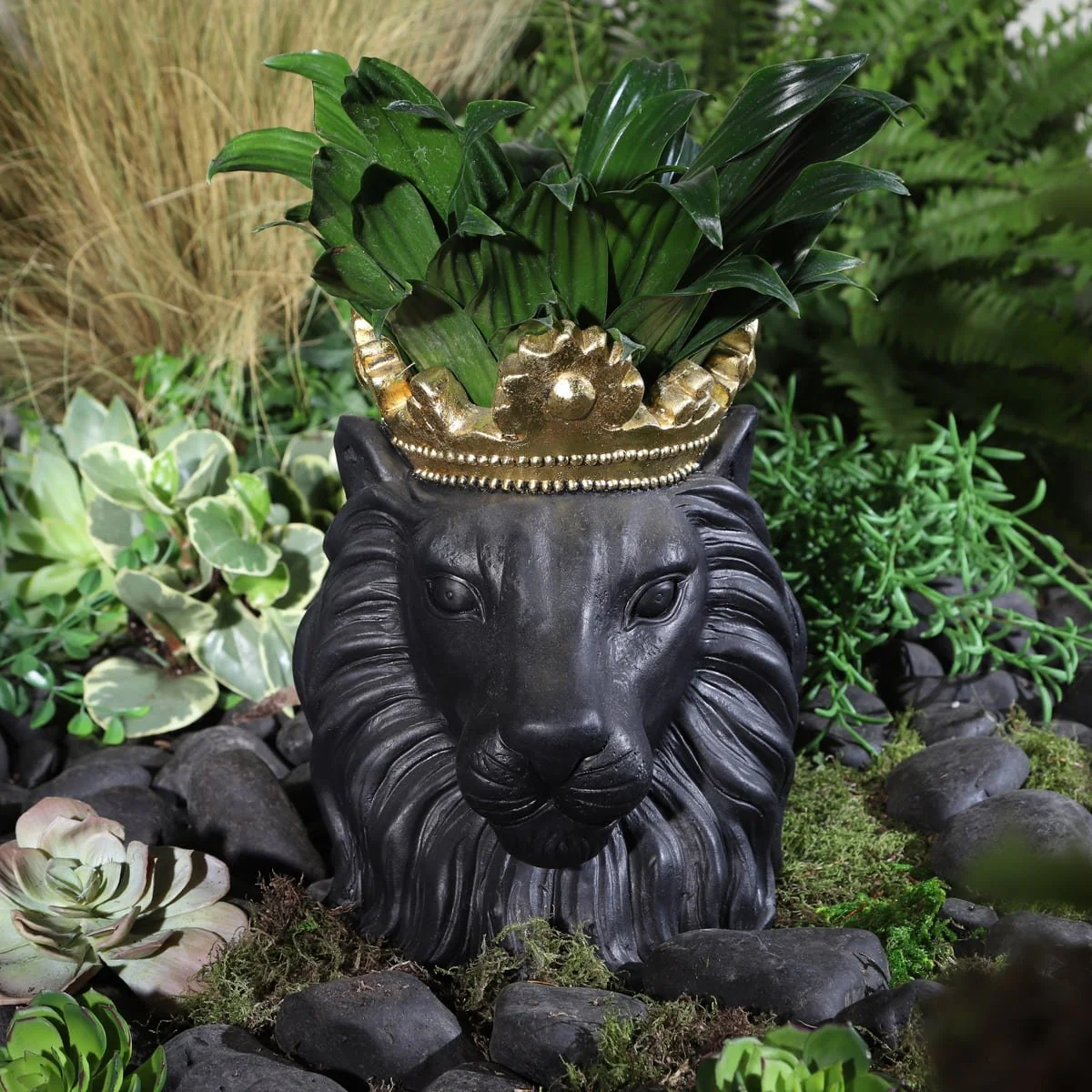 Resin 9" Lion W/ Crown, Black - Image 3