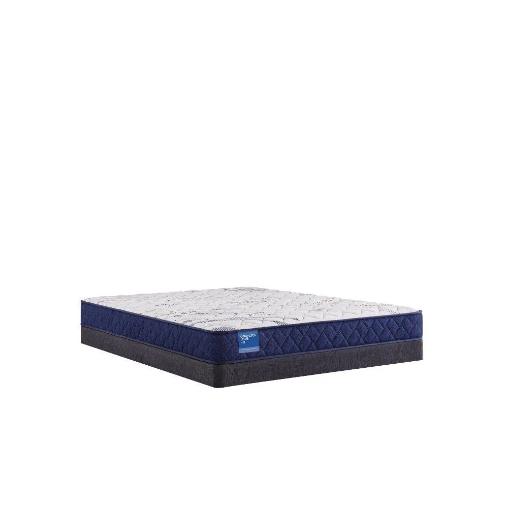 Resting Manor Foam Mattress - Image 4