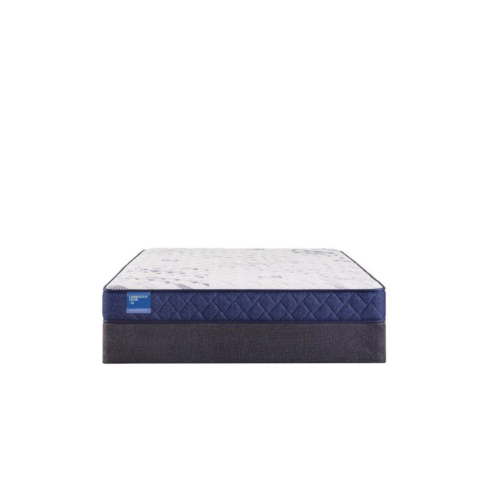 Resting Manor Foam Mattress - Image 8