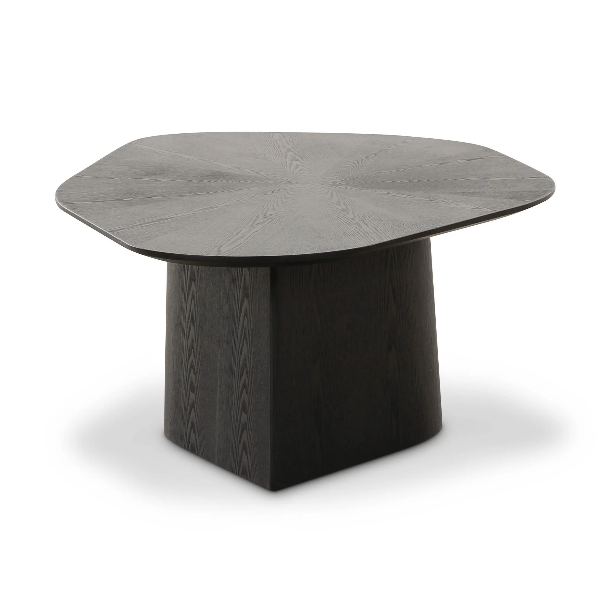 Roche Black Ash Geometric Coffee Table - Image 4