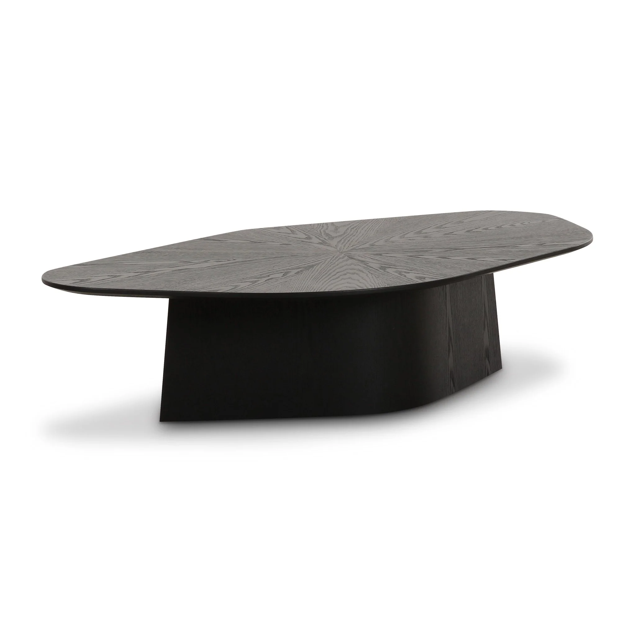 Roche Black Ash Low Coffee Table - Image 2