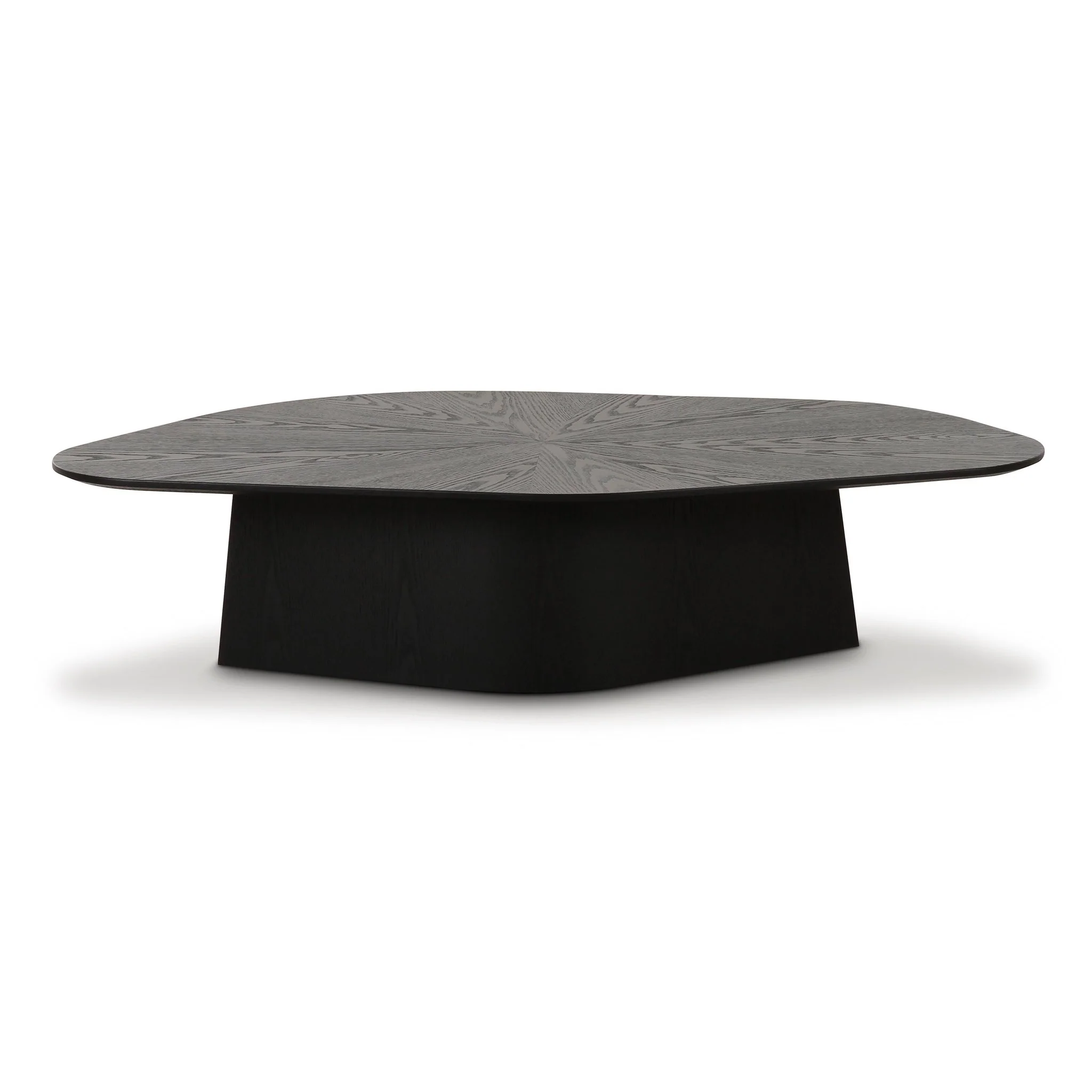 Roche Black Ash Low Coffee Table - Image 6