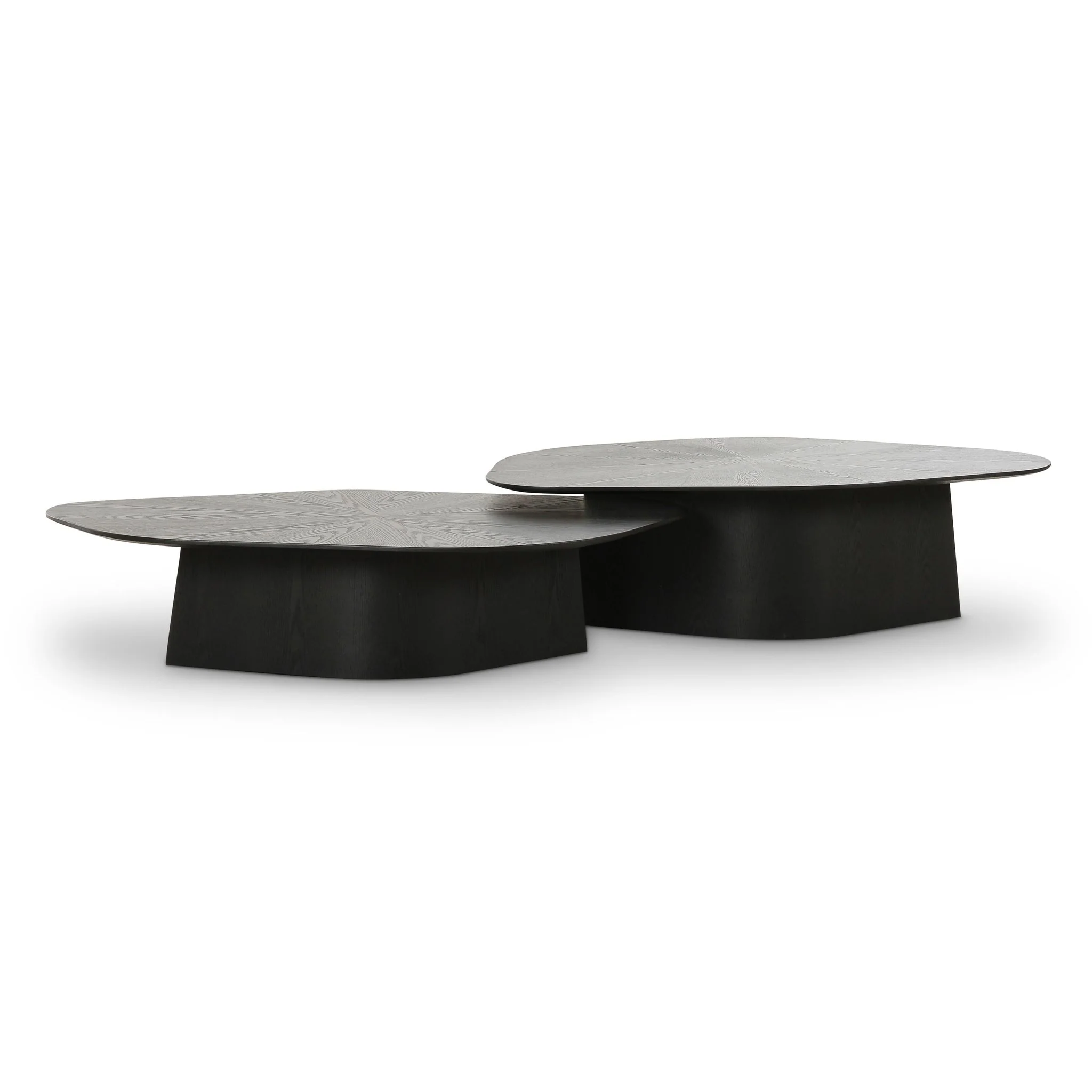 Roche Black Ash Nesting Coffee Table Set - Image 3