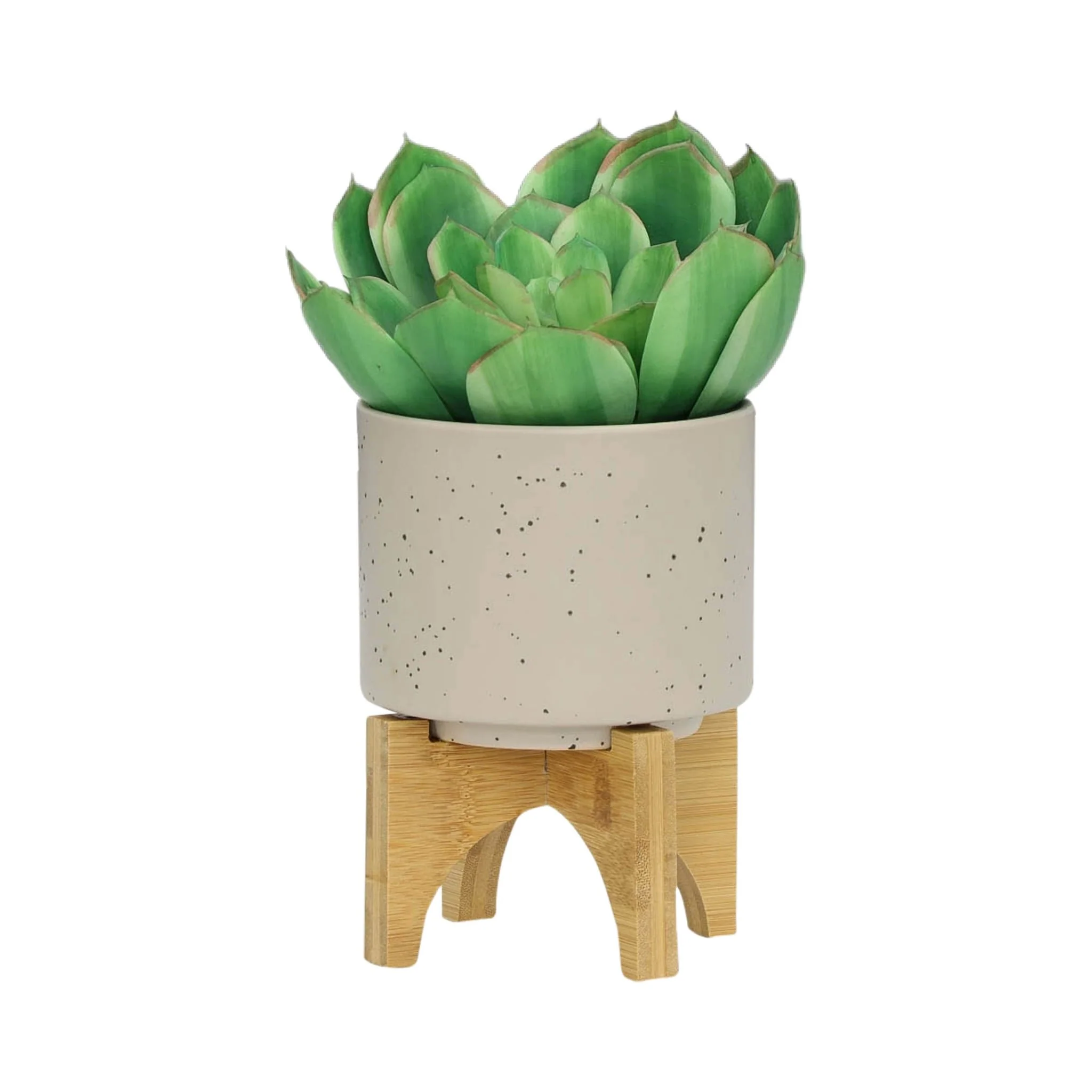 S/2 5/8" Planter W/ Wood Stand, Matte Beige - Image 4
