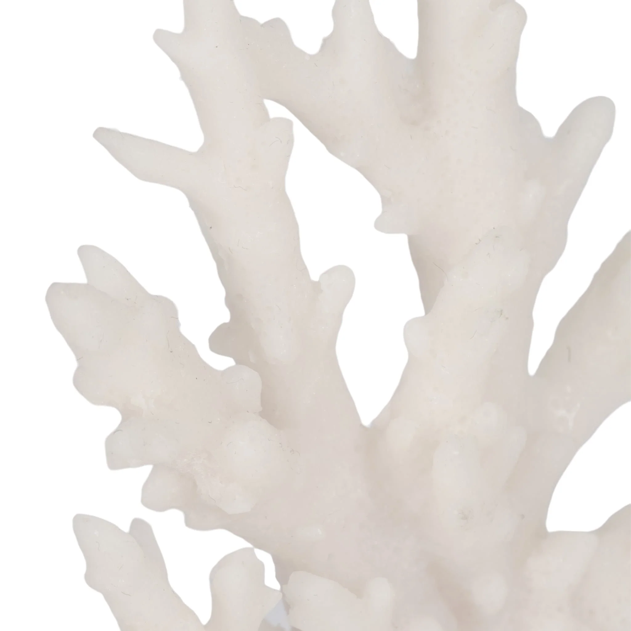 S/2 7" Coral On Glass Bookends, White - Image 4