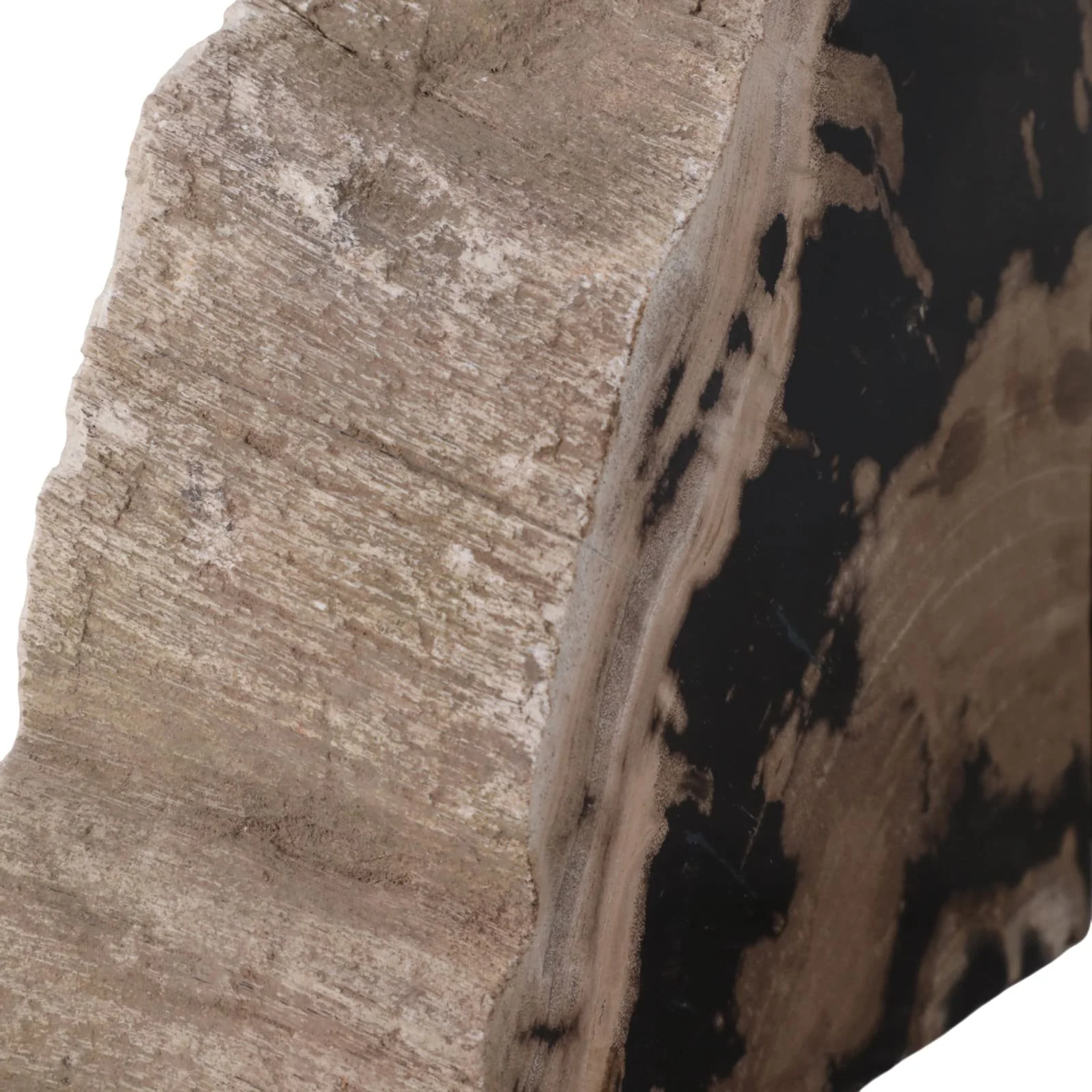 S/2 7" Petrified Wood Bookends, Black/tan - Image 6