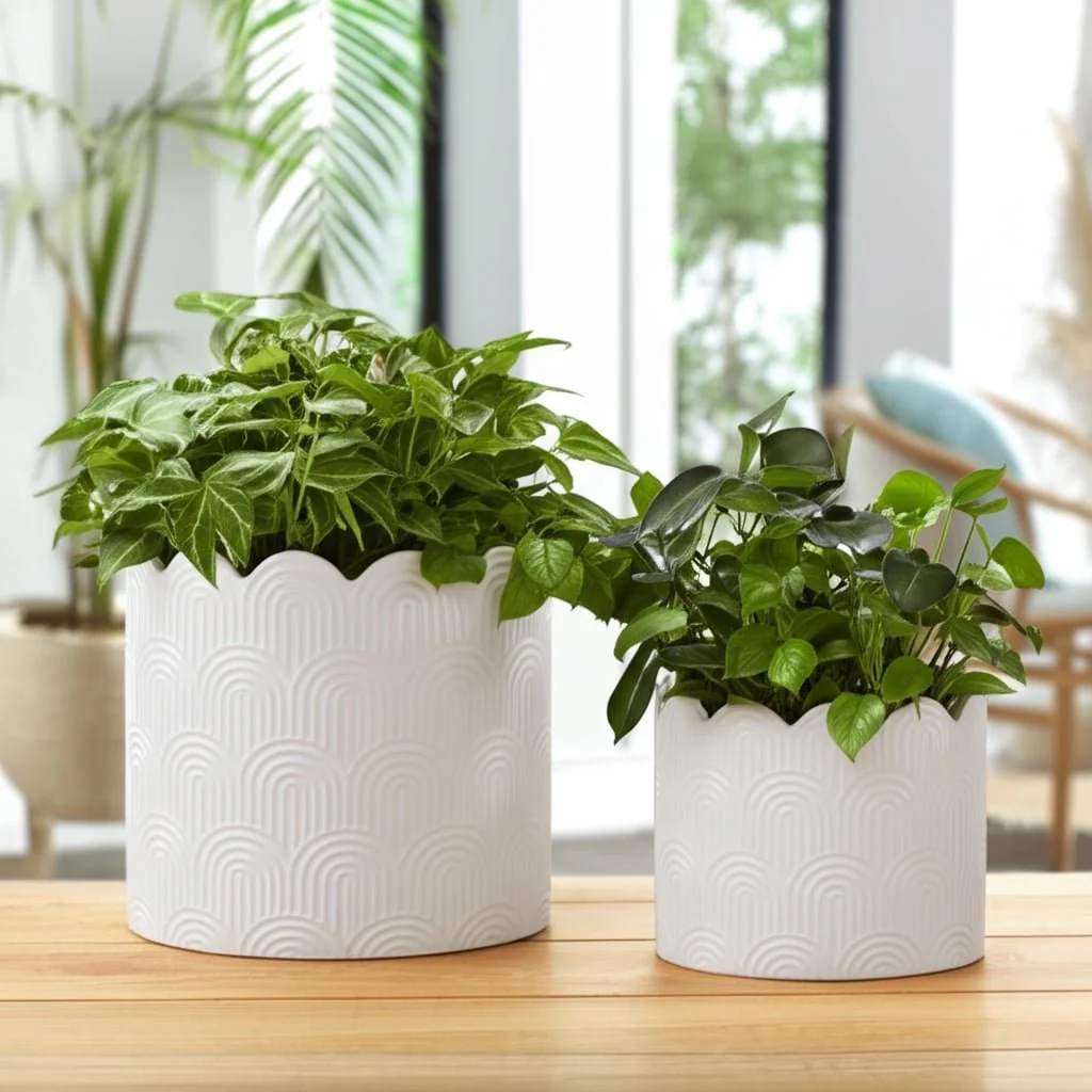 S/2 9/12"  Arch Planters, White - Image 10