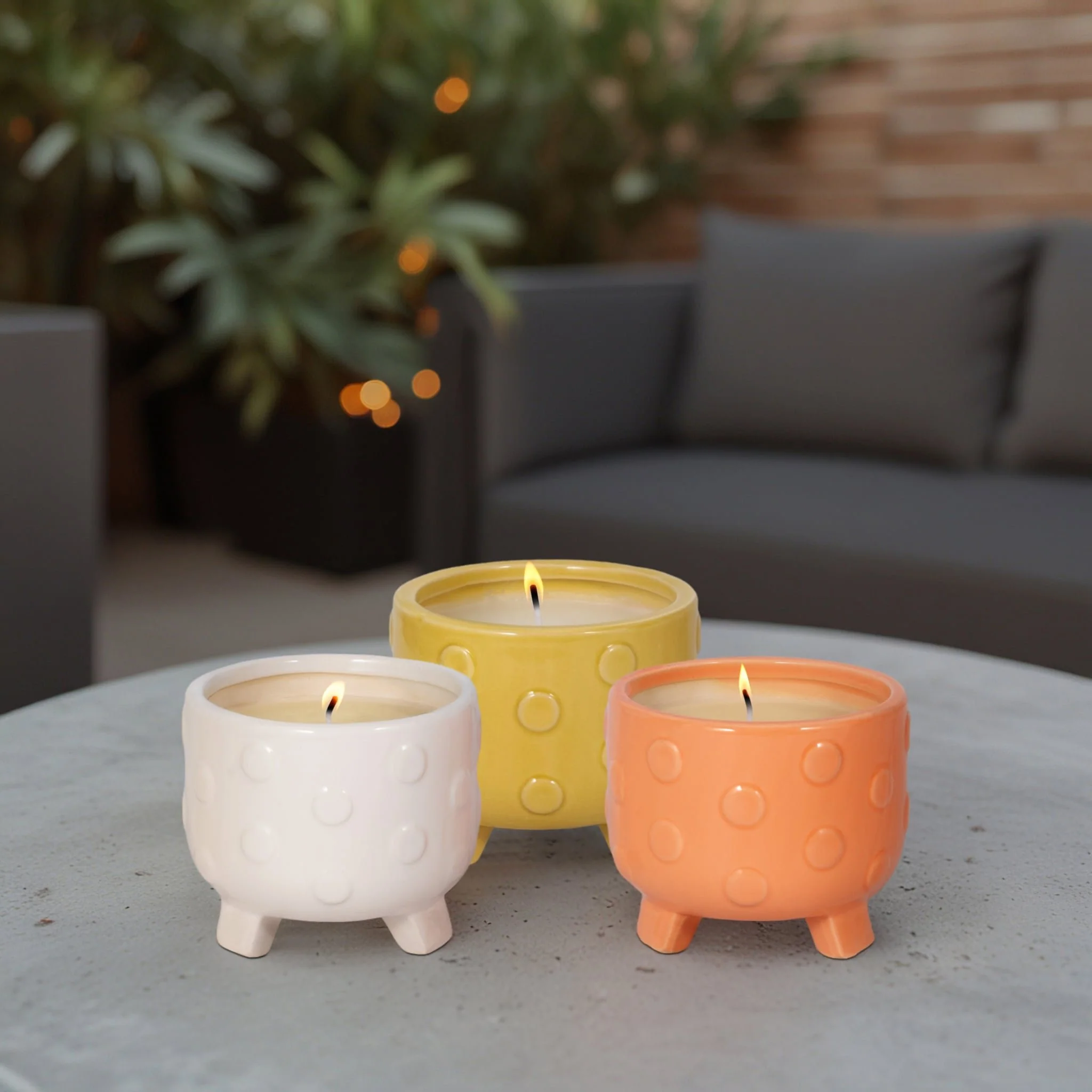 S/3, 5" Big Dot Footed Planter, Citro Candle 16oz - Image 8