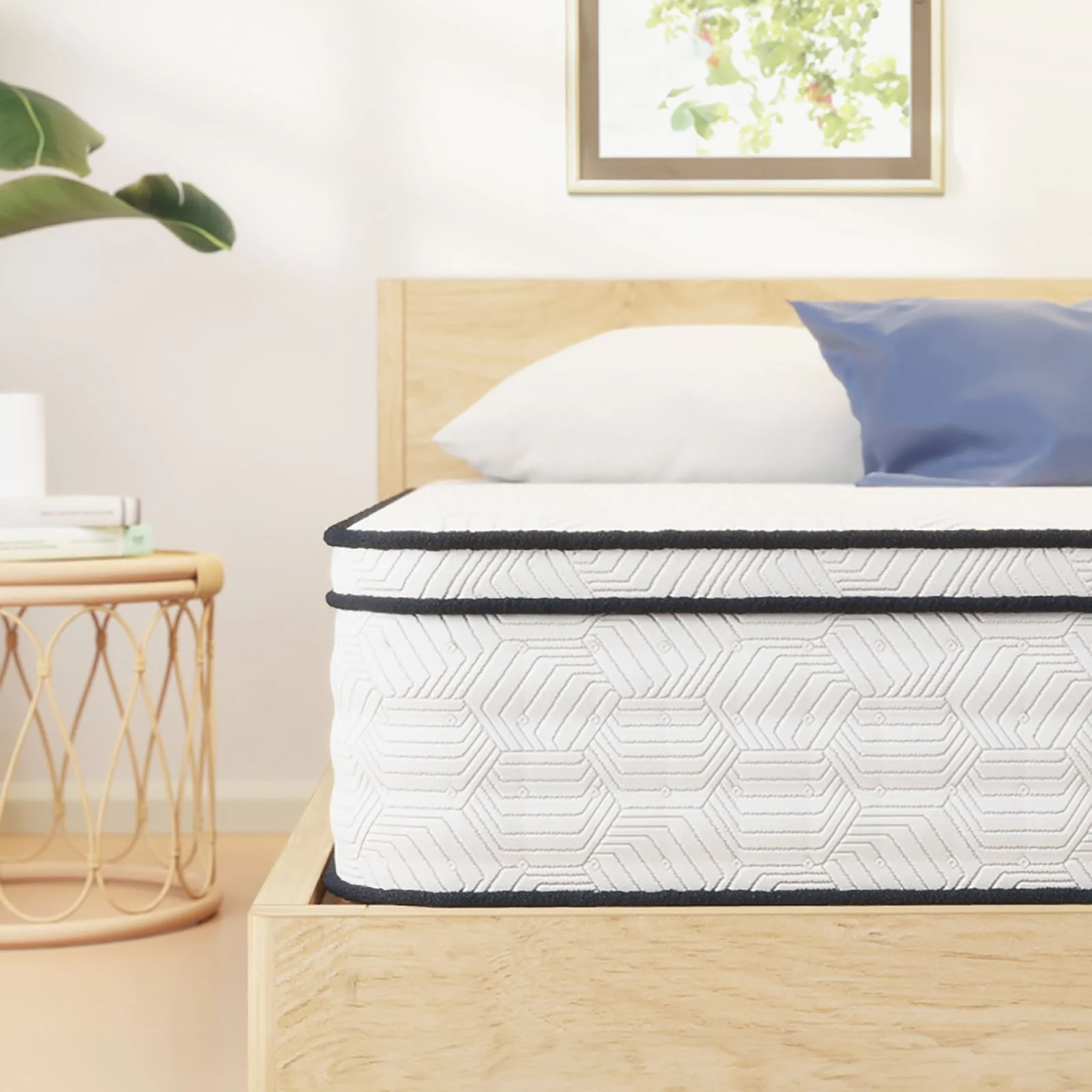 Salvia 12" E.King Euro Top Mattress - Image 2