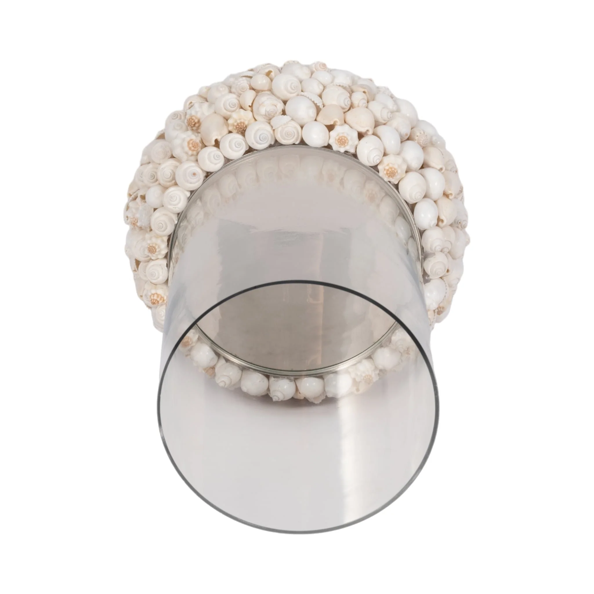 Shell, 12" Hurricane, White - Image 5