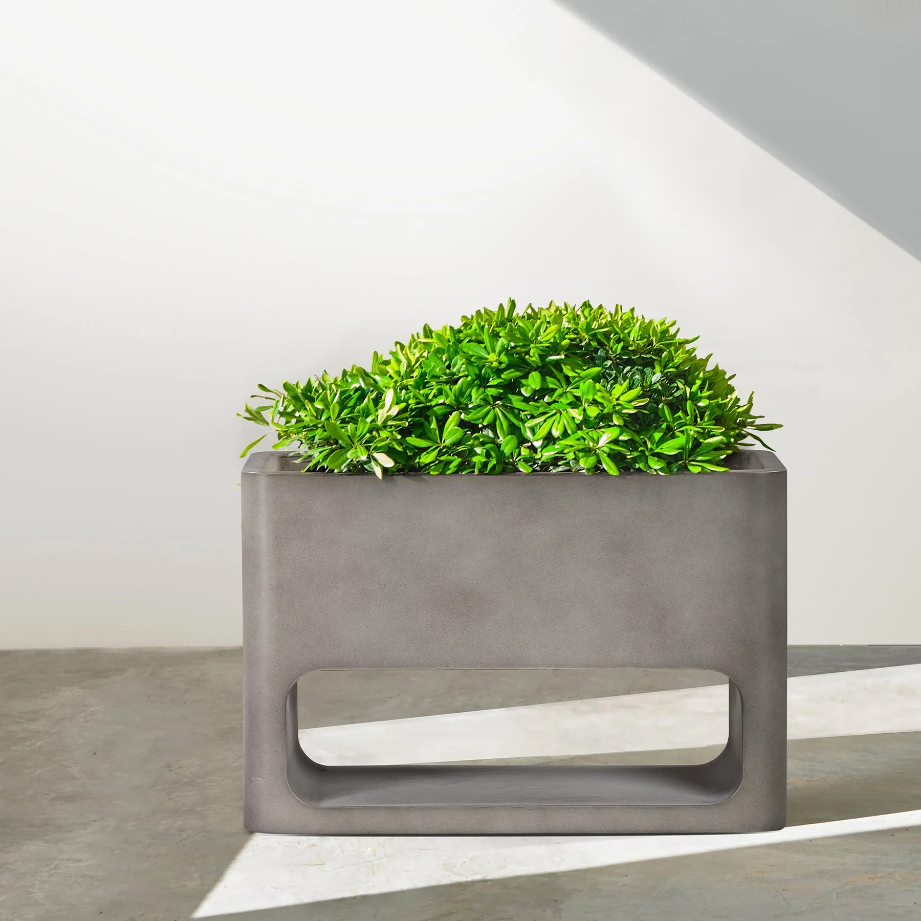 Sunstone Indoor or Outdoor Planter in Gray Concrete - Image 8