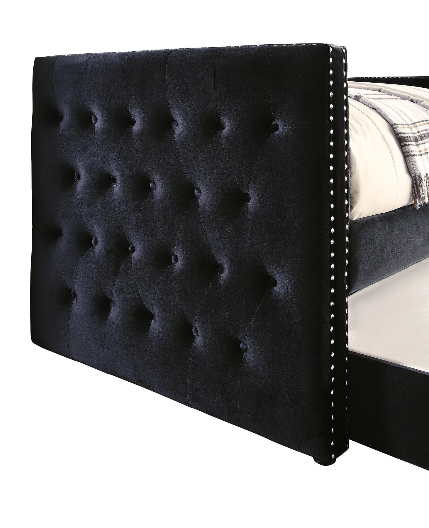 Susanna Daybed w/ Trundle, Black - Image 3