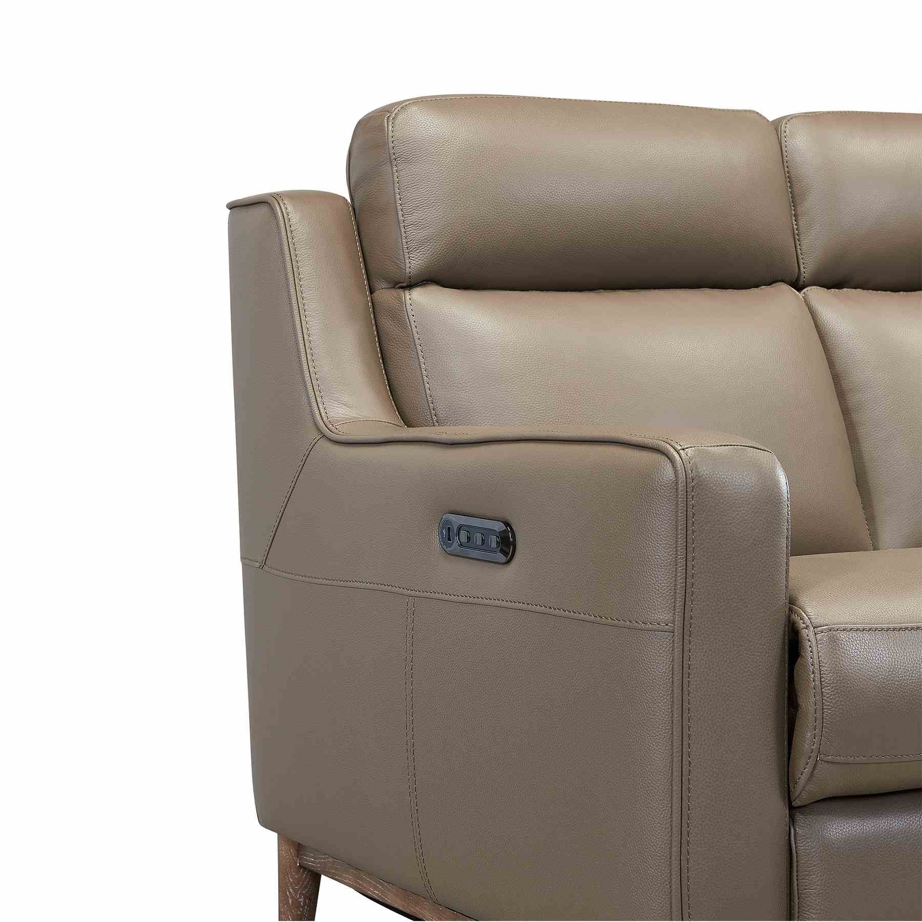 Wisteria Contemporary Sofa in Light Brown Wood Finish and Taupe Genuine Leather - Image 5